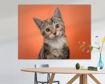 Kätzchen-Portrait in Orange von Elles Rijsdijk