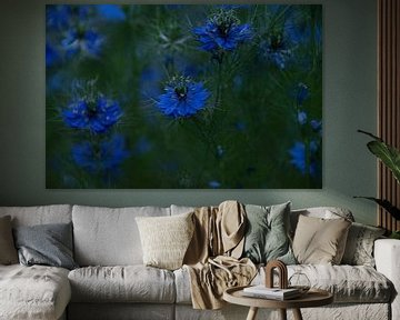 Blaue Blumen von Simen Crombez