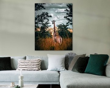 Girafe dans le parc Kruger, Afrique du Sud sur Harmen van der Vaart