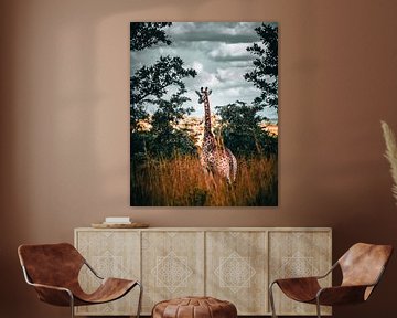 Giraffe im Krüger-Park, Südafrika von Harmen van der Vaart