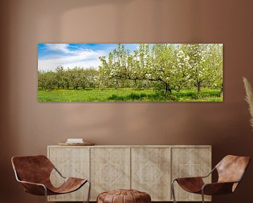 Springtime in the orchard with old apple trees by Sjoerd van der Wal