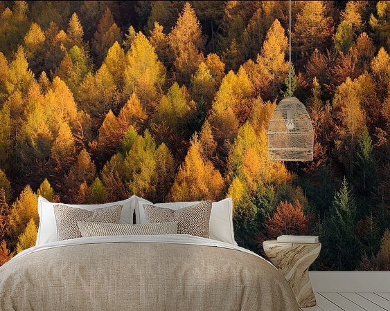 Aperçu de la chambre