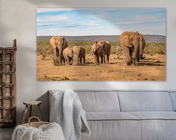 Rennende kudde olifanten Zuid Afrika van John Stijnman