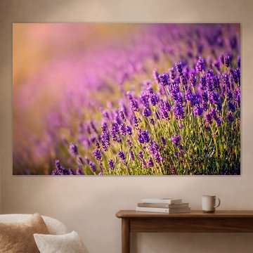 Lavender by Frank Heldt