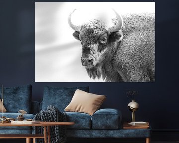 Europese bizon zwart wit van John Stijnman