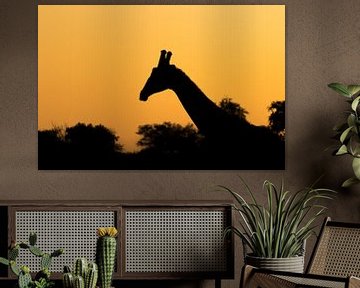 Silhouet giraf Afrika landschap van John Stijnman
