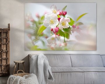 Blooming soft pink apple blossom on  a sunny day with natural background van Elles Rijsdijk