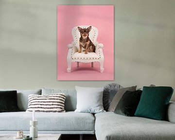 Luxus-Hund von Elles Rijsdijk