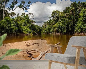 View of the Suriname River, Suriname by Marcel Bakker