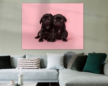 Pug puppies by Elles Rijsdijk