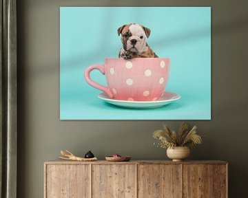 Cup of Bulldog van Elles Rijsdijk