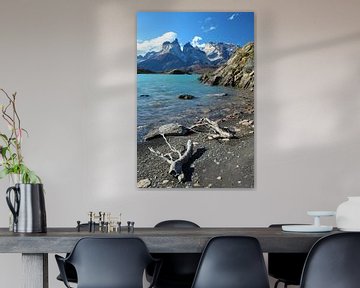 Le parc national Torres del Paine au Chili avec l'eau azurée et les branches au premier plan sur A. Hendriks