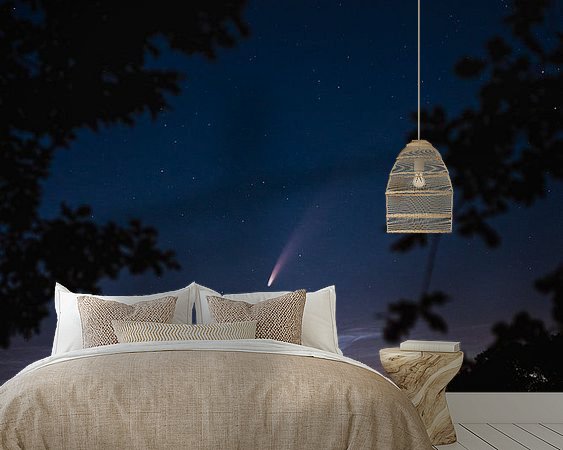 Aperçu de la chambre