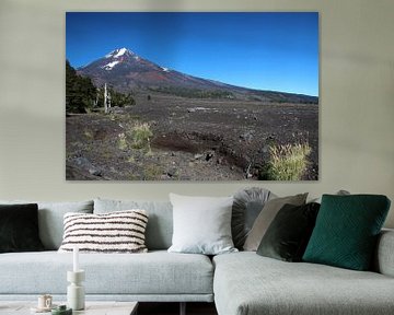 Nationaal Park Conguillío en Volcán Llaima, Chili van A. Hendriks