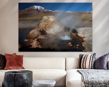 El Tatio geysers, Altiplano, Andes, Chile by A. Hendriks
