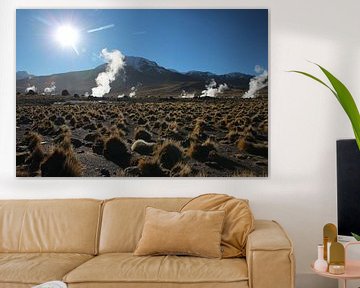 El Tatio geysers, Altiplano, Andes, Chile