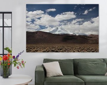 Altiplano, Andes, Bolivia, Volcano by A. Hendriks