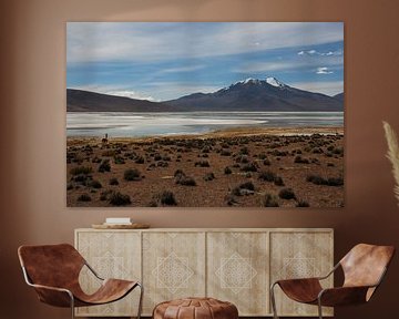 Altiplano in Bolivien mit Lama im Vordergrund und Vulkan im Hintergrund von A. Hendriks