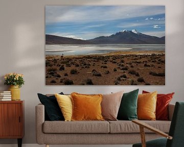 Altiplano in Bolivia met lama op de voorgrond en vulkaan op de achtergrond van A. Hendriks