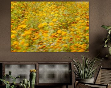 A meadow of yellow, orange and red flowers - with deliberate motion blur for an impressionistic effe by John Quendag