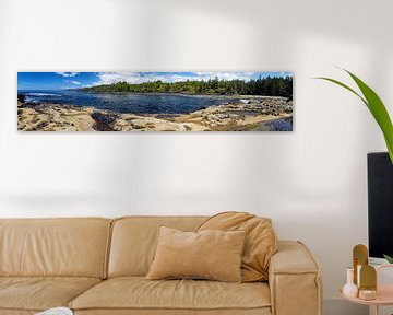 Botanical Beach