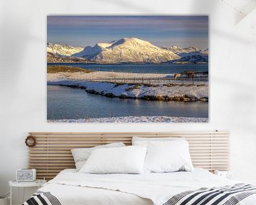 Sommarøya en hiver, Norvège sur Adelheid Smitt