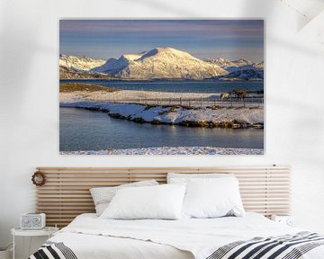 Sommarøya in Winter, Noorwegen van Adelheid Smitt