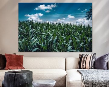 Het maïsveld van je dromen van Michelle de Villiers