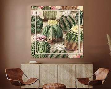 Le Collage de Cactus Vintage van Marja van den Hurk