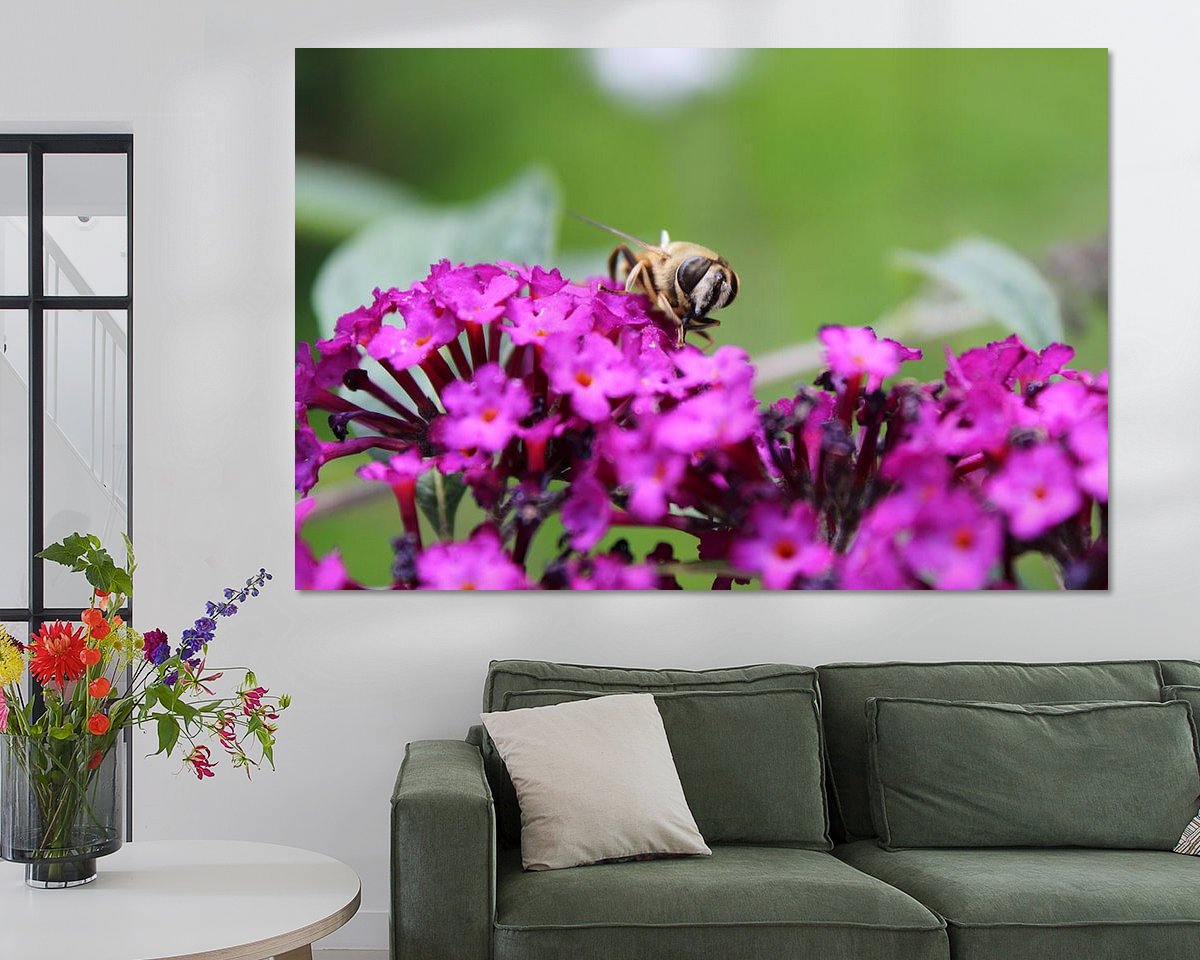 Raumvorschau