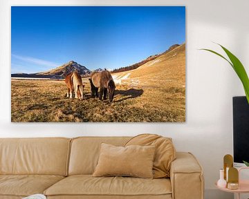 Icelandic horses by Leon Eikenaar