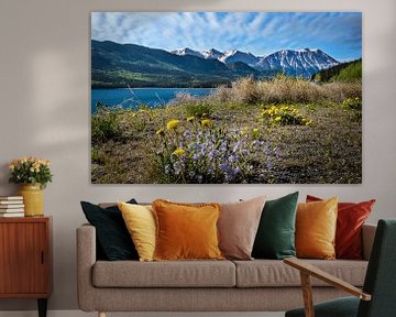 Fleurs sur le rivage dans la zone frontalière entre le Canada et l'Alaska