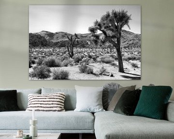 Joshua Tree National Park black and white by Discover Dutch Nature