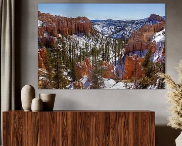 Bryce Canyon National Park in de winter, Utah, Verenigde Staten