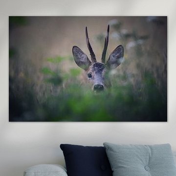 Reebok sur Jitske Van der gaast