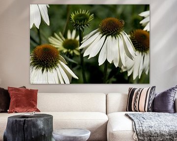 Flowers, natural