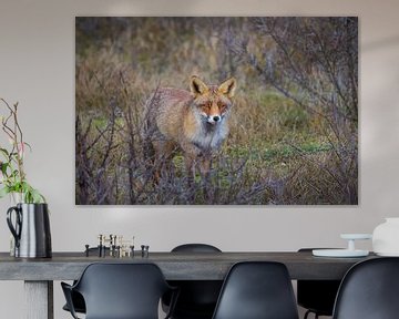 Foxy Lady van Sander Meertins