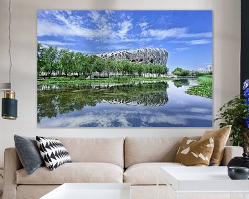 Bird's Nest with blue sky mirrored in a pond by Tony Vingerhoets