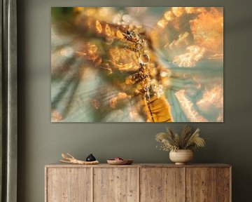 Abstraktes Foto | Wassertropfen auf Libelle | Orange von Nanda Bussers