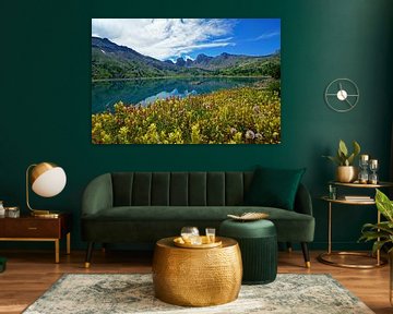 Champ de fleurs au lac d'Allos sur Discover Dutch Nature