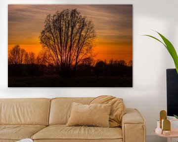 zonsondergang achter boom van Johan van der Linde