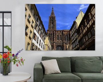 Straßburger Münster von Patrick Lohmüller
