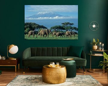 Afrikaanse olifant Kilimanjaro Kenia van Paul van Gaalen, natuurfotograaf