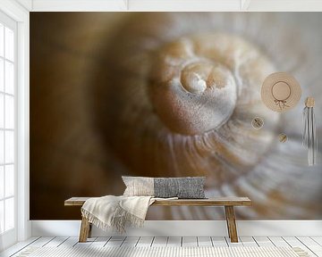 Close-up van een slakkenhuis van Heiko Kueverling