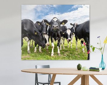 Kühe in den Niederlanden von Inge van den Brande