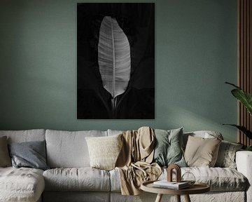 Feuille de palmier noire et blanche sur Lotte de Graaf