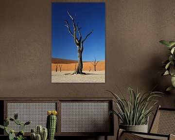 Dead tree at Deadvlei Namibia van Mathieu Denys