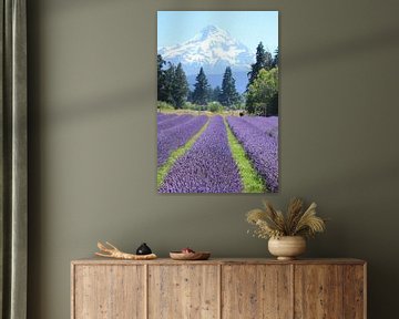 Lavender at the foot of Mt Hood - vertical by Lugth ART