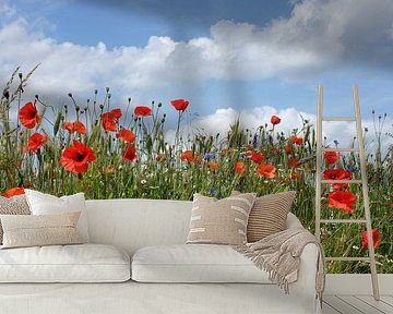 Poppies by Dianne van der Velden