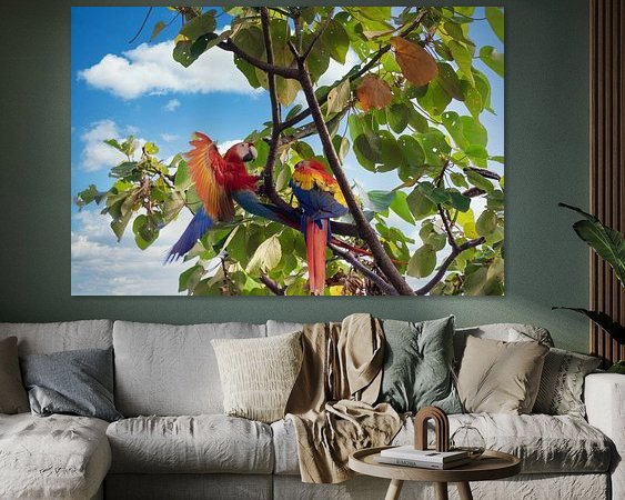 Aperçu de la chambre